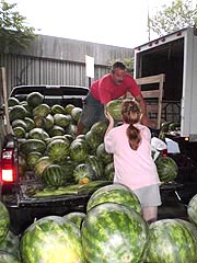  Watermelons at Baltimore Farmers' Market, Holliday St. & Saratoga St., Baltimore, Maryland