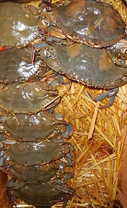 [photo, Blue crabs, Baltimore Farmers Market, Baltimore, Maryland]