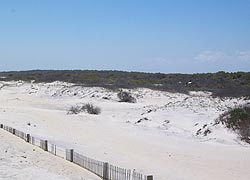 [photo, Assateague Island National Seashore, Berlin (Worcester County), Maryland]