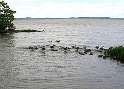 [photo, Susquehanna River, Havre de Grace, Maryland]