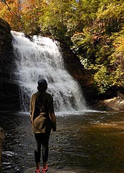 [photo, Muddy Creek Falls at Swallow Falls State Park, north of Oakland, Maryland]