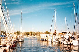 [photo, Sailboats, Back Creek, Annapolis, Maryland]